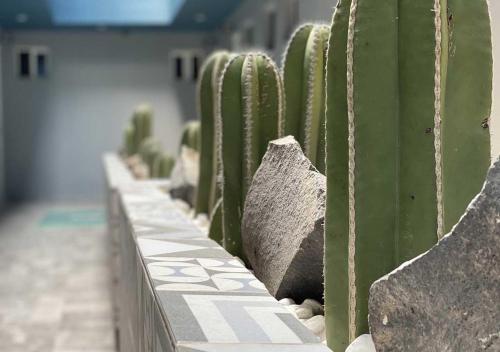 HOTEL GRAN VIA CENTRAL – Mexico City, CT