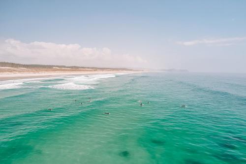 Aotearoa Surf Eco Pods