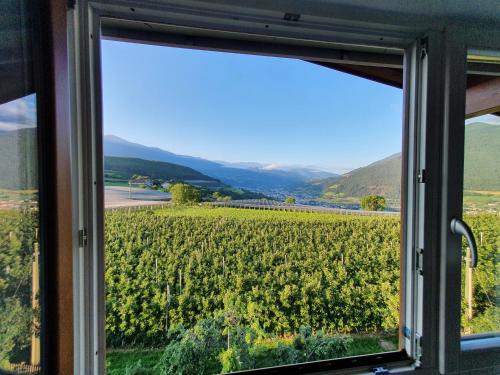  WEINBERG APARTMENTS & Brixen Südtirol Guest Pass in Natz-Schabs