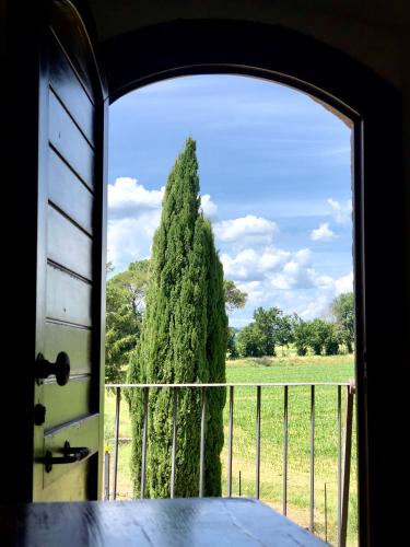 Casale Viridi - nel fresco delle colline Umbre - Hotel - Narni