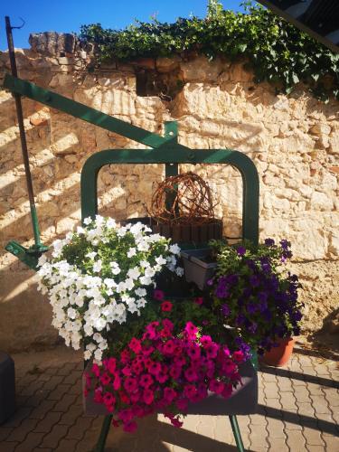  Weingut Lichtscheidl, Pension in Eisenstadt