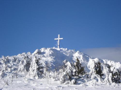 Gasthof Hofbauer - image 5