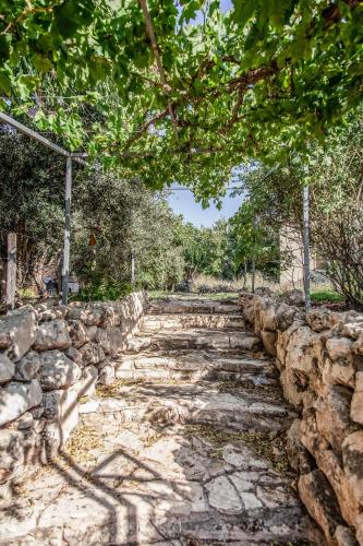 Mettler Winery in Agur
