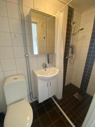 ห้องน้ำ, Frovi hotell in ใจกลางเมืองเออเรโบร