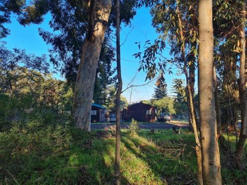 Hoogeland's Wood Cabins