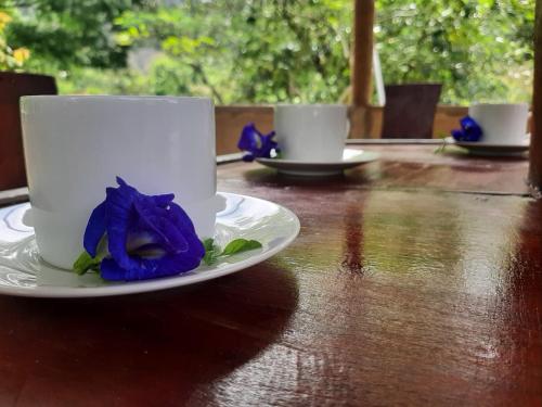 Iekārtas, Kande Gedara Resort (කන්දෙ ගෙදර) in Monaragala