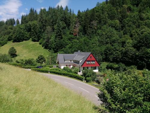 Holiday home near the forest in Oppenau