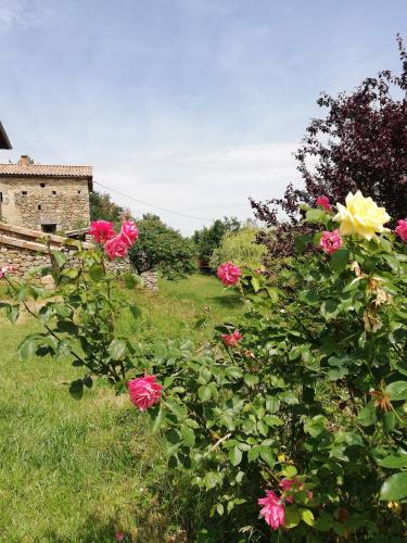 Le Grand Bayle - Oasis Naturelle