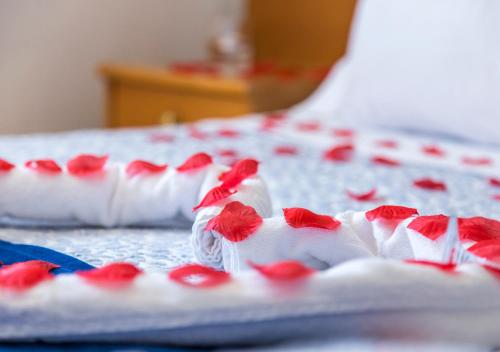 Hotel Columbano - image 10