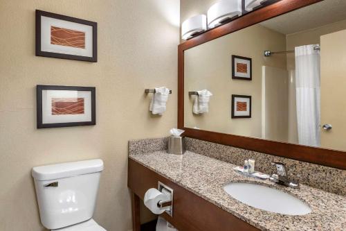 Comfort Inn Moline - Quad Cities - image 12