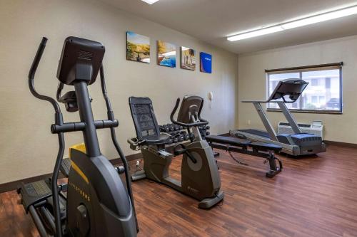 Comfort Inn Moline - Quad Cities - image 6