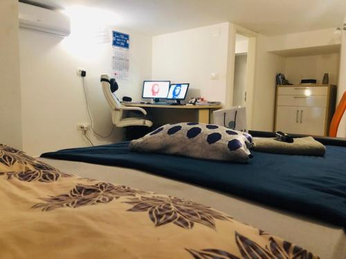 Hostel OT, Split (foto 4)