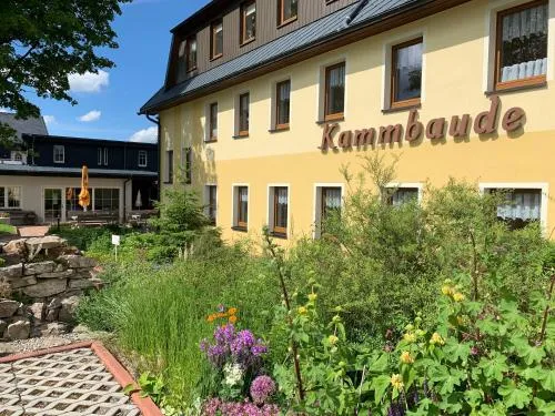 Hotel Dachsbaude & Kammbaude in Seiffen/Erzgeb., Deutschland