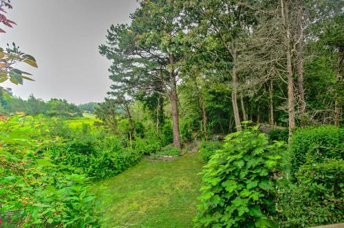 Oak Bluffs Hideaway Walk to Beach and Bus Stop - image 10