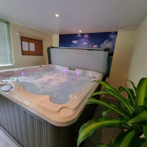 Gite Myosotis 2 personnes avec SPA Jacuzzi , jardin, barbecue, dans la Résidence