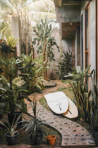 Kaha Island Stay in Santa Monica