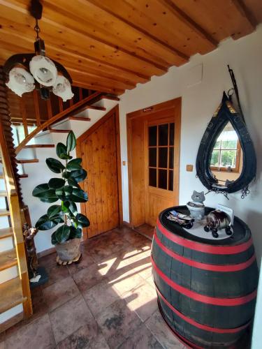 Tampilan eksterior, Pension Treissmann in Loipersdorf