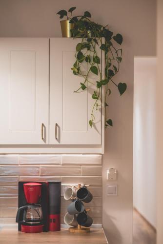 90m2 Luxury Apartment in the Heart of Athens - Ederlezi Sunstone