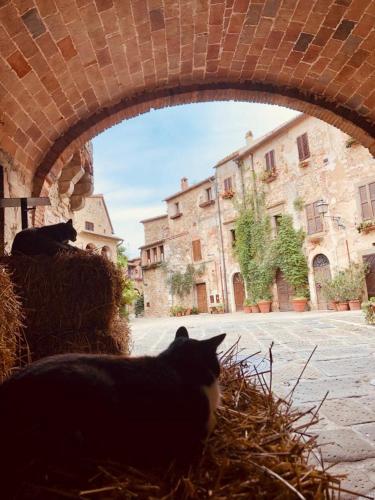  Appartamento Cuore in Montemerano