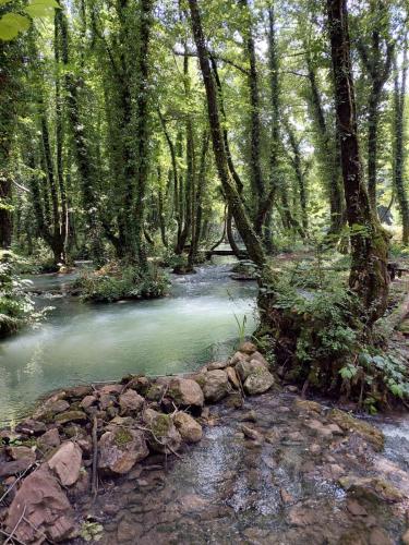 Domacinstvo Ubovic - image 7