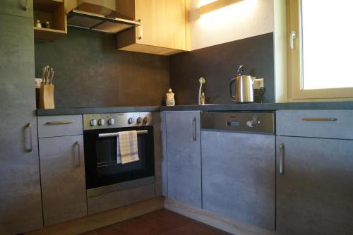 virtuve, Apartment Auszeit in Elbogena