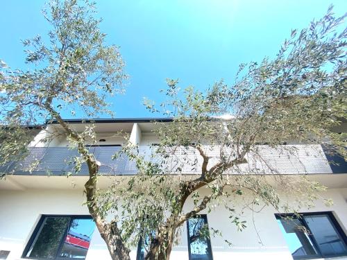 Rooms and Apartments Lisjak