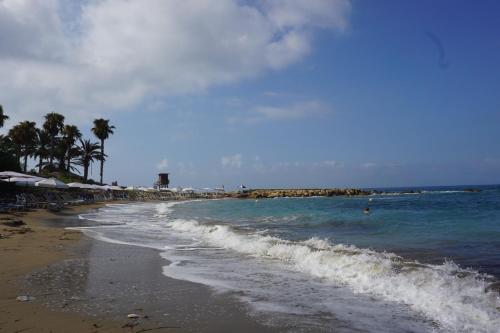 Paphos Gardens, near beach