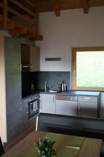 virtuve, Apartment Auszeit in Elbogena