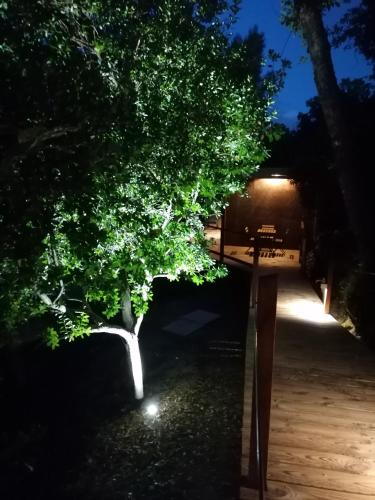  Quinta Mata da Sé in Miranda do Corvo