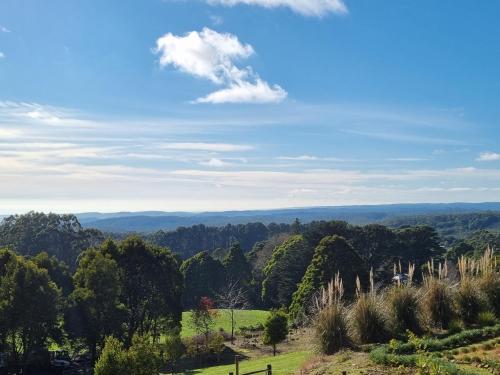 Beech Forest Cottage (Cozy Otways Accommodation)