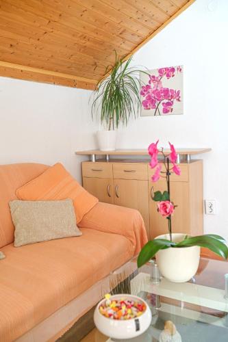 Apartments Ivka