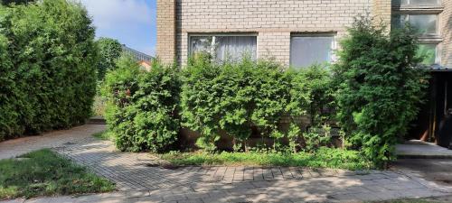 Day & Night Anyksciai in 阿尼克斯奇艾