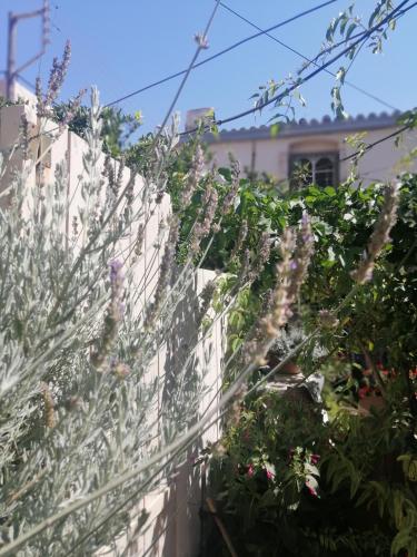 "Eirini" traditional house Creta Archanes, Αρχάνες σπίτι