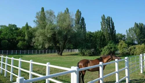 Equiliber Reitsportzentrum Burgenland in Wulkaprodersdorf, Österreich