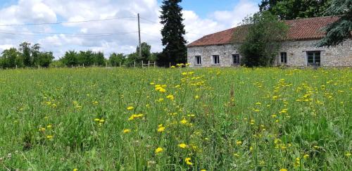 Jardin du Lot & Carotte gîte à louer Casseneuil