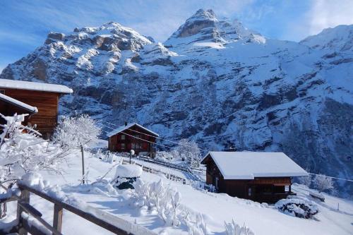 Olle and Maria's B&B- apartment in Gimelvalde