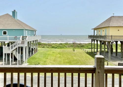 Sea Monkey home - main image