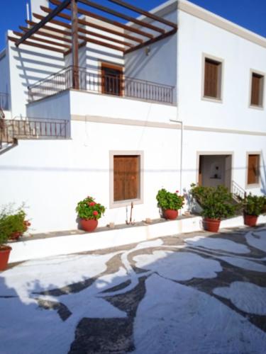 MILTIADIS APARTMENTS, Andros (photo 6)