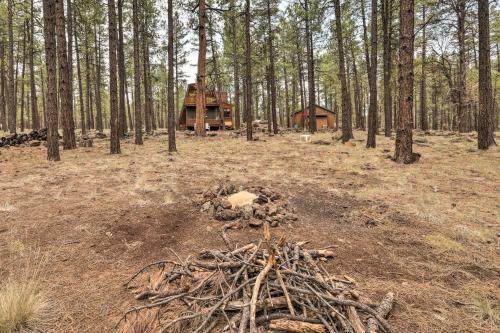 Cabin by Grand Canyon Backing to Natl Forest