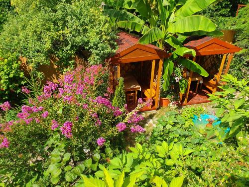 Guest House Alisa - main image