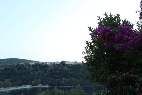 Rocka View, Meganisi (fotografie 10)
