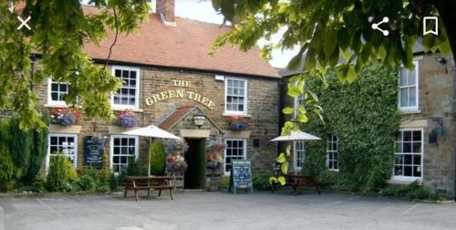 The Tree House The Tree House