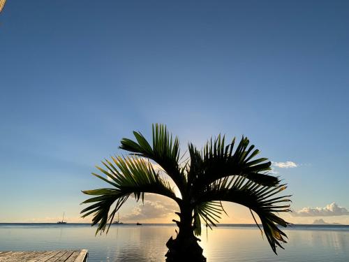 Tenape Sunset