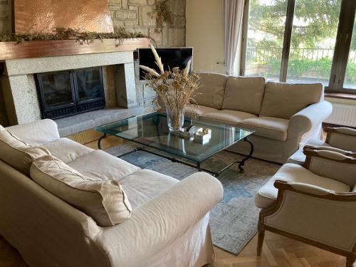 Los Cedros, gran chalet con piscina y apartamento en Navacerrada in 納瓦塞拉達