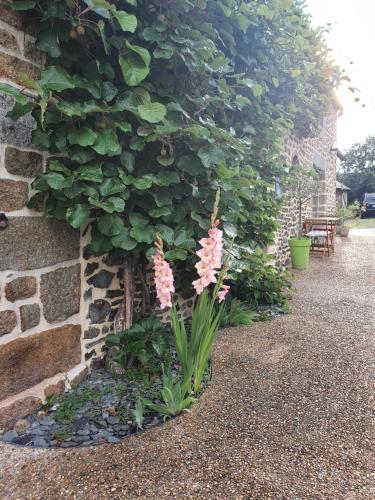 STUDIO PRIVATIF ET SA PISCINE AUX AGAPANTHES DE CROMEL - Le Mont Saint-Michel