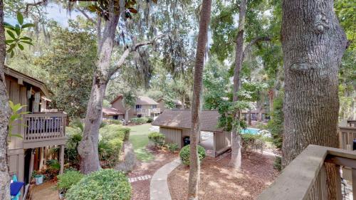 48 Water Oak - image 4