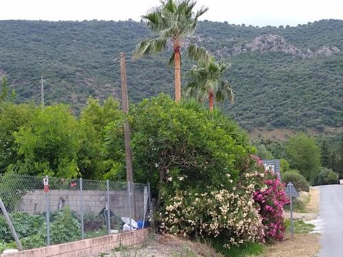 磨坊乡村民宿 磨坊乡村民宿