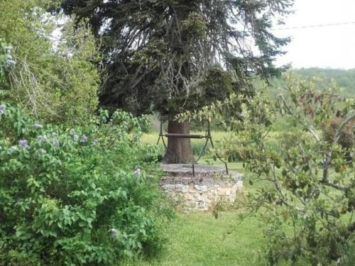 Gîte Saint-Avit-Rivière, 3 pièces, 4 personnes - FR-1-616-180