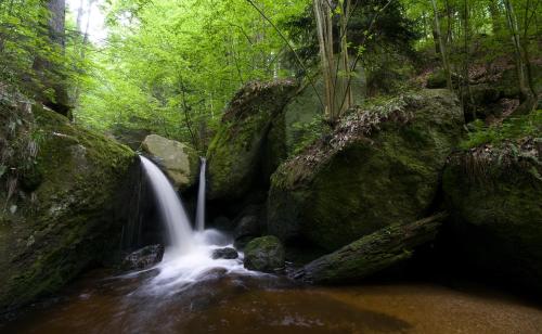 Apkārtne, Wirtshausbrennerei Krenn in Yspertal