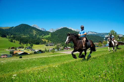 Wohlfühlresort und Feriengut Martinerhof - image 13